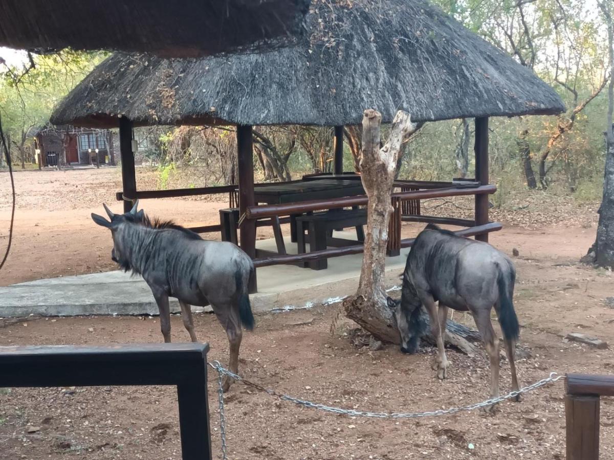 South Safari Lodge Marloth Park Buitenkant foto