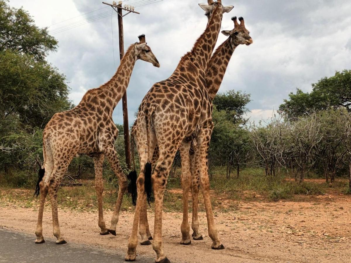 South Safari Lodge Marloth Park Buitenkant foto