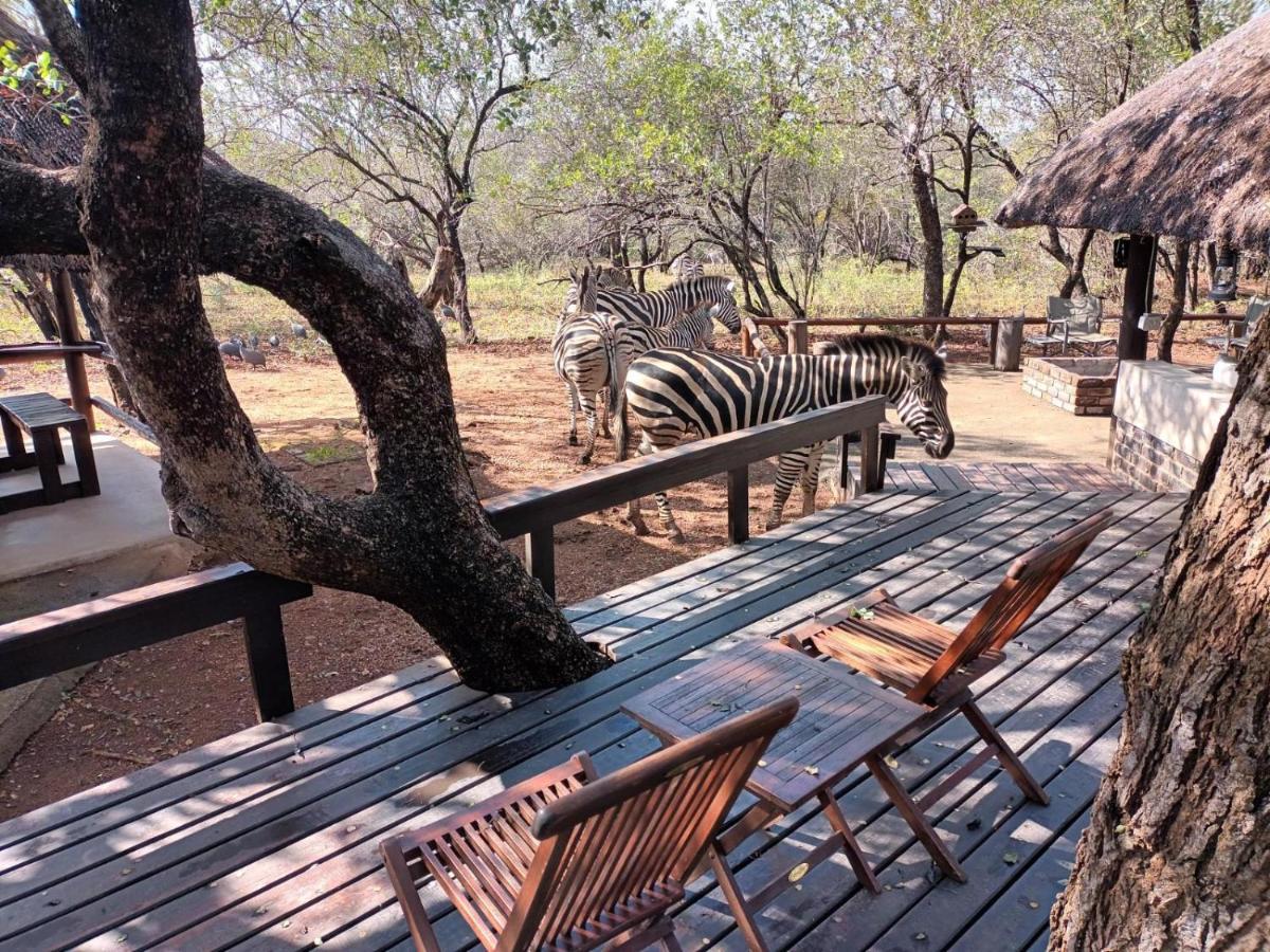 South Safari Lodge Marloth Park Buitenkant foto